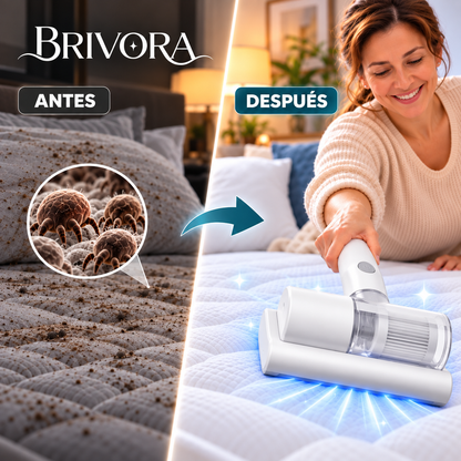 DUSTEX™ | Limpiador Profundo Antiácaros PRO